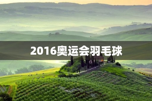 2016奥运会羽毛球:中国队再夺金牌 2016奥运会羽毛球:中国队再夺金牌