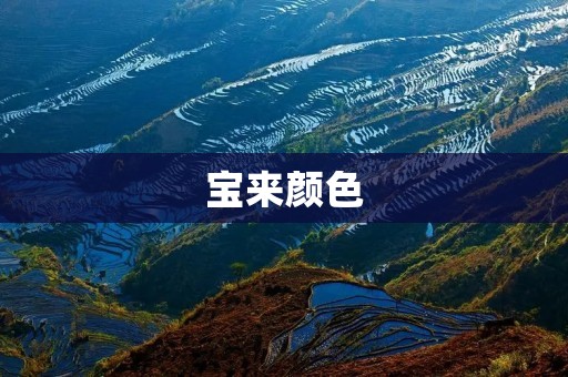 宝来颜色:探秘大众宝来的多彩世界 宝来颜色:探秘大众宝来的多彩世界