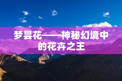 梦昙花——神秘幻境中的花卉之王