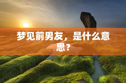梦见前男友,是什么意思? 梦见前男友,是什么意思?