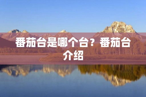 番茄台是哪个台?番茄台介绍