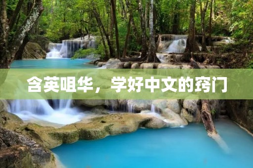 含英咀华,学好中文的窍门 含英咀华,学好中文的窍门