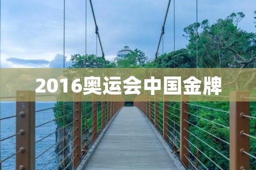 2016奥运会中国金牌：创造历史的辉煌时刻