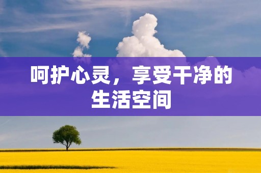 呵护心灵,享受干净的生活空间 呵护心灵,享受干净的生活空间
