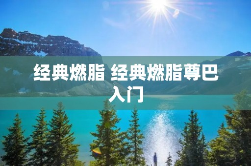 经典燃脂 经典燃脂尊巴入门