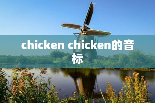 chicken chicken的音标