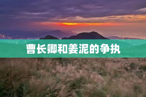 曹长卿和姜泥的争执:一场矛盾的爆发