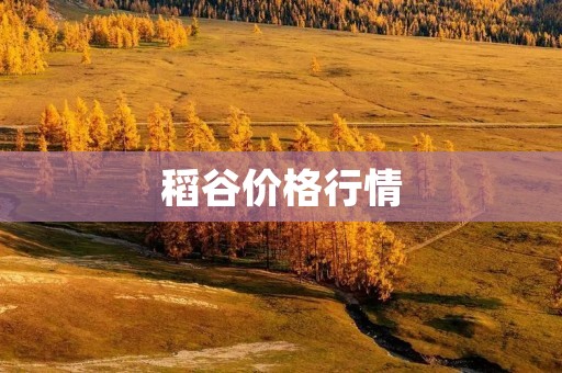 稻谷价格行情:近期价格波动及趋势分析