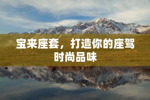 宝来座套，打造你的座驾时尚品味
