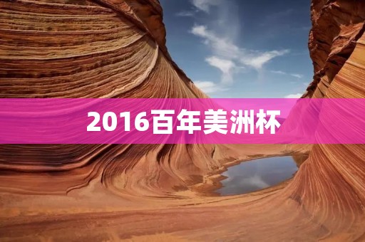 2016百年美洲杯：南美足球的盛宴