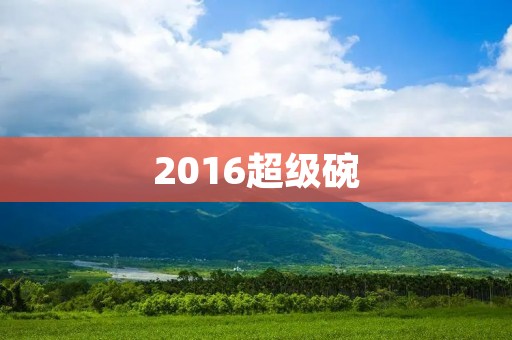 2016超级碗:激烈对决引爆全球狂热 2016超级碗:激烈对决引爆全球狂热