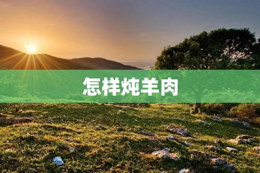 怎样炖羊肉