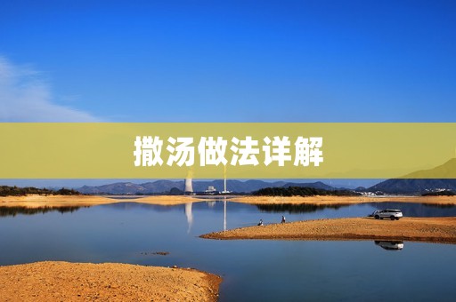 撒汤做法详解:轻松制作美味汤品 撒汤做法详解:轻松制作美味汤品