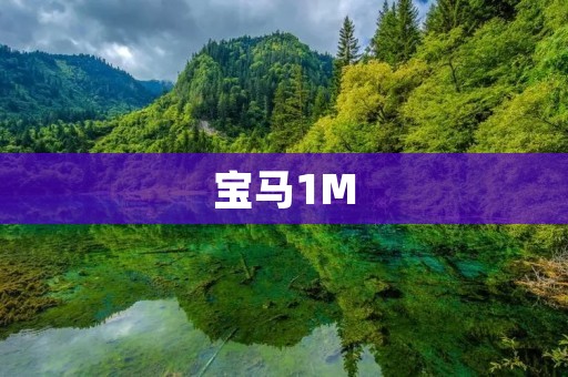 宝马1M：小巧玲珑的超级跑车