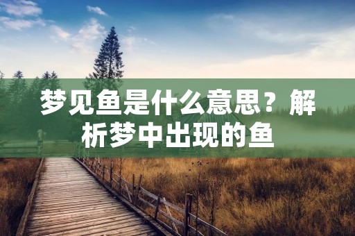 梦见鱼是什么意思?解析梦中出现的鱼