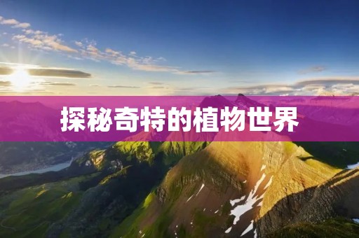 探秘奇特的植物世界