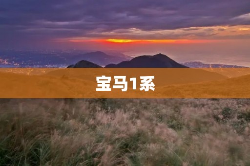 宝马1系：德系精品小车的代表
