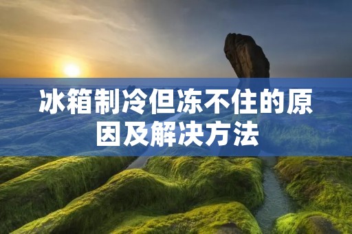 冰箱制冷但冻不住的原因及解决方法