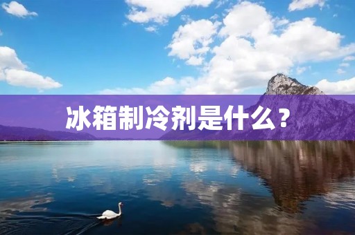 冰箱制冷剂是什么? 冰箱制冷剂是什么?