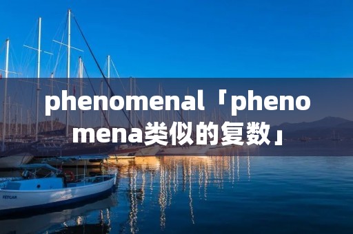 phenomenal「phenomena类似的复数」