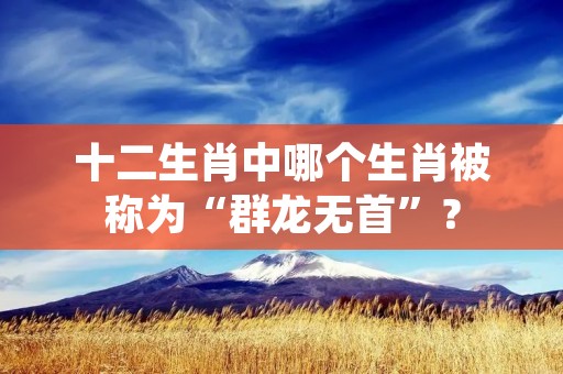 十二生肖中哪个生肖被称为“群龙无首”？