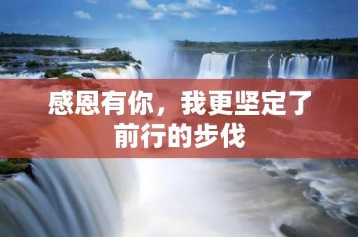 感恩有你，我更坚定了前行的步伐