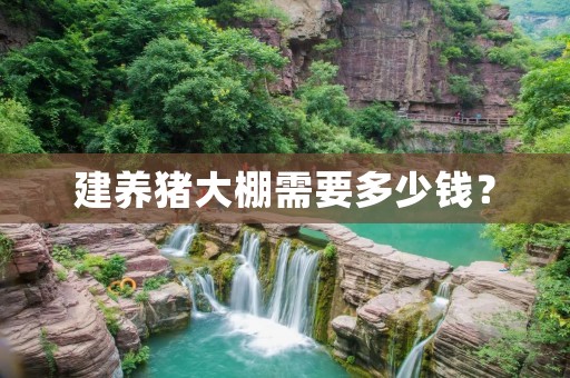 建养猪大棚需要多少钱?