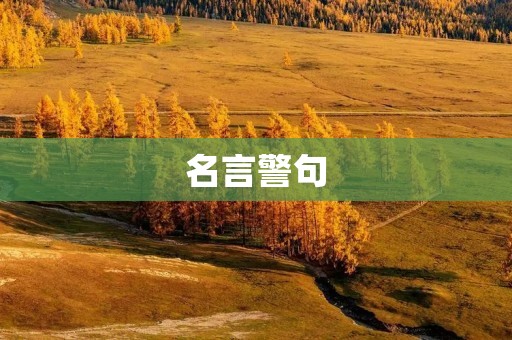 名言警句:点亮人生的智慧之光 名言警句:点亮人生的智慧之光