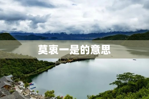 莫衷一是的意思 莫衷一是的意思