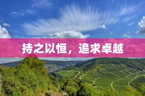 持之以恒,追求卓越 持之以恒,追求卓越