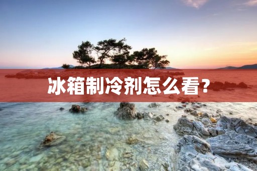冰箱制冷剂怎么看? 冰箱制冷剂怎么看?