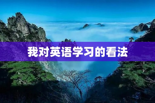 我对英语学习的看法 我对英语学习的看法