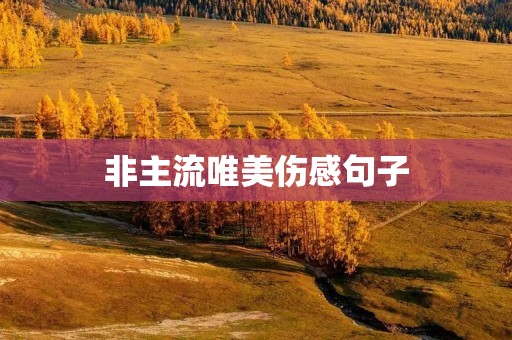 非主流唯美伤感句子