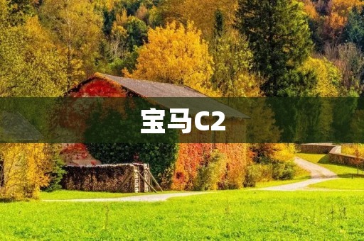宝马C2:高科技的城市代步利器
