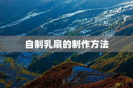 自制乳扇的制作方法 自制乳扇的制作方法