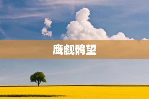 鹰觑鹘望：猎鹰与猎鹘的生死博弈
