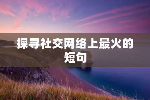 探寻社交网络上最火的短句