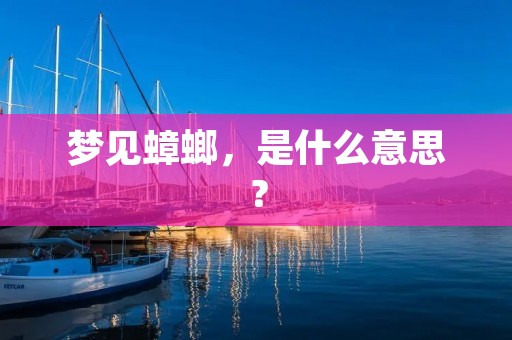 梦见蟑螂，是什么意思？