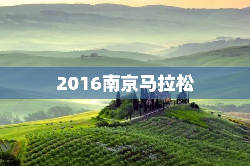 2016南京马拉松：万人奔跑，城市飞扬