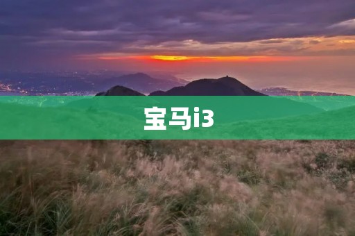 宝马i3:电动车的未来之路 宝马i3:电动车的未来之路