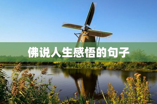 佛说人生感悟的句子