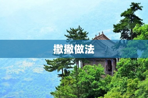 撒撇做法:让你的菜肴更加美味的秘密武器 撒撇做法:让你的菜肴更加美味的秘密武器