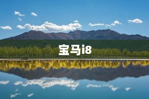 宝马i8：未来科技与豪华跑车的完美结合