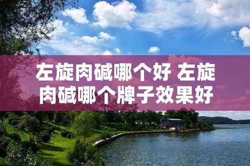 左旋肉碱哪个好 左旋肉碱哪个牌子效果好