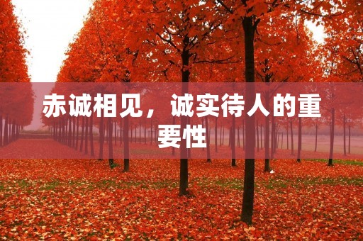 赤诚相见,诚实待人的重要性 赤诚相见,诚实待人的重要性