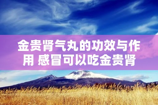 金贵肾气丸的功效与作用 感冒可以吃金贵肾气丸的功效与作用