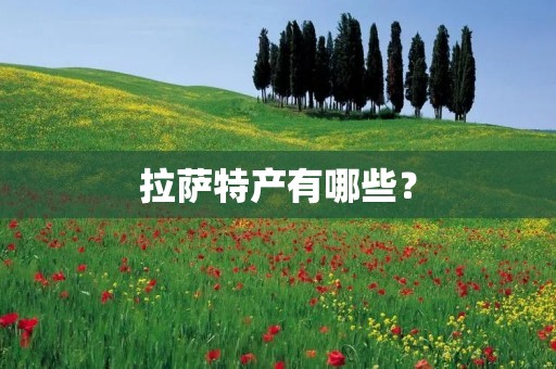 拉萨特产有哪些?