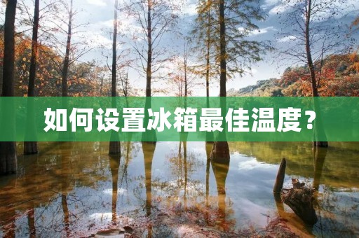 如何设置冰箱最佳温度? 如何设置冰箱最佳温度?