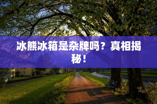 冰熊冰箱是杂牌吗?真相揭秘! 冰熊冰箱是杂牌吗?真相揭秘!