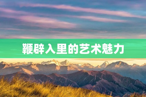鞭辟入里的艺术魅力